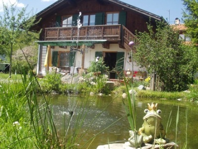 Gartenteich Gänseblümchen